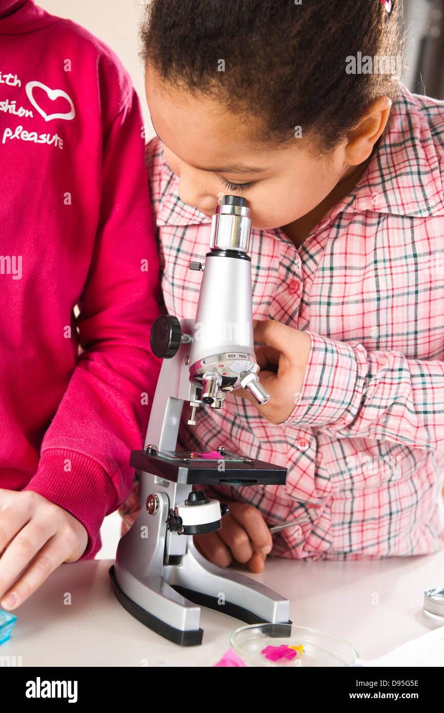 Girls Looking at Flower with Microscope in Classroom, Baden-Wurttemberg, Germany Stock Photo