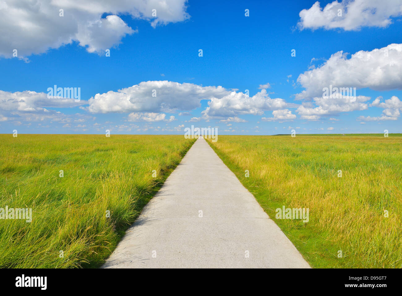 Path through Meadow in the Summer, Westerhever, Tating, Schleswig-Holstein, Germany Stock Photo