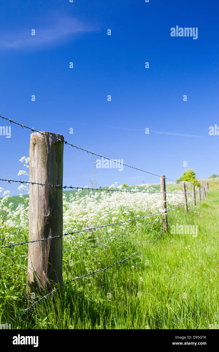 A barb wired fence across a field Stock Photo