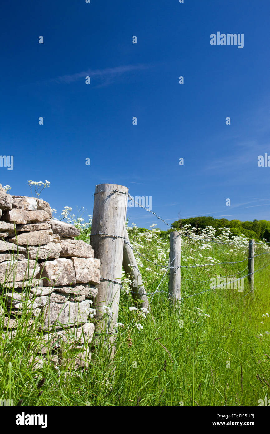 A cotswold stone wall wth fence Stock Photo