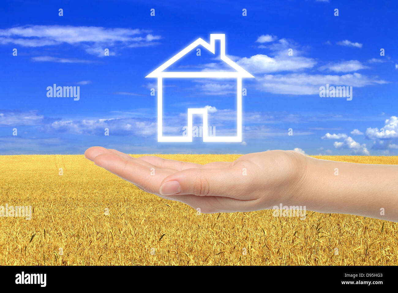 Virtual house with woman hand on wheat field background Stock Photo