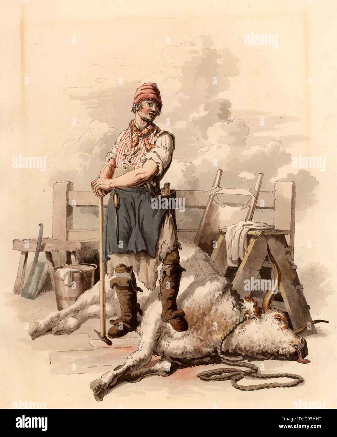 The Slaughterman.  The ox has been killed by blows of the pole-axe to the head.  The slaughterman leans on the pole-axe after the exertion of killing the beast.  A steel for sharpening his tools hangs from his waist.  A cleaver leans against a stool on the left,  and a butcher's tray leans against the hitching rail on centre right.  From 'Costume of Great Britain' by William Henry Pyne (London, 1808). Aquatint. Stock Photo