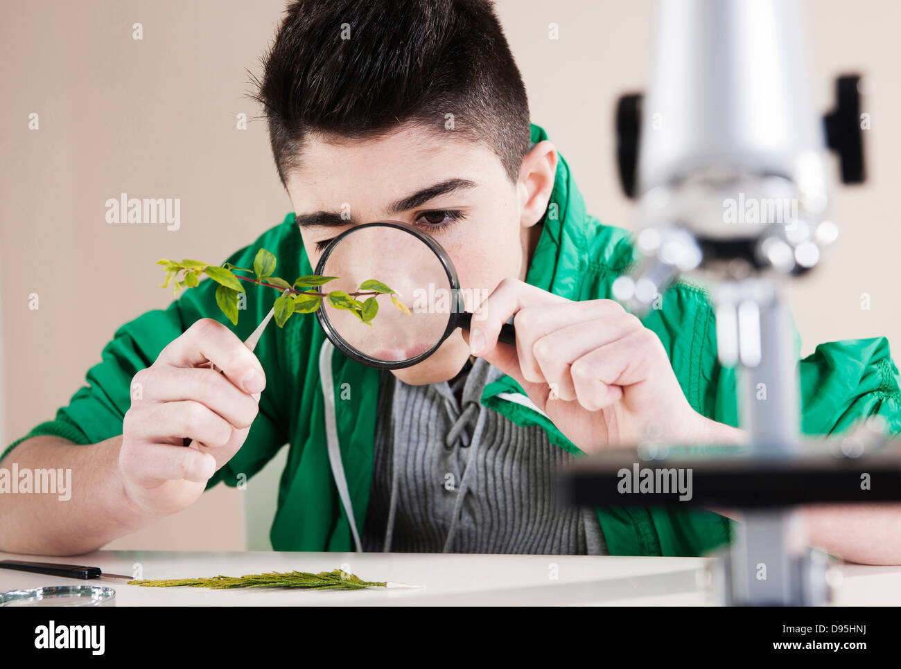 Boy Examining Leaves with Magnifying Glass, Mannheim, Baden-Wurttemberg, Germany Stock Photo