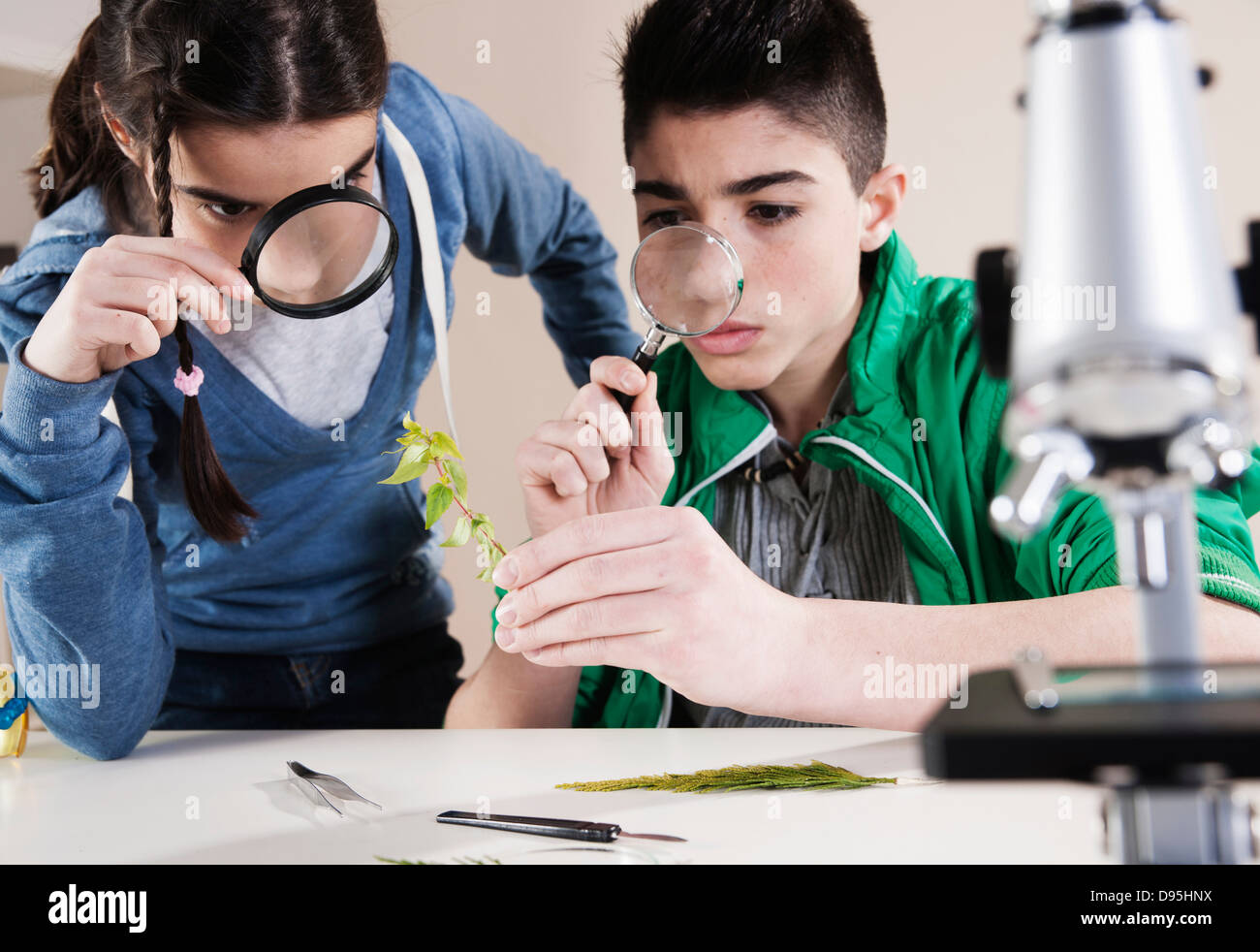 Boy and Girl Examining Leaves with Magnifying Glasses, Mannheim, Baden-Wurttemberg, Germany Stock Photo