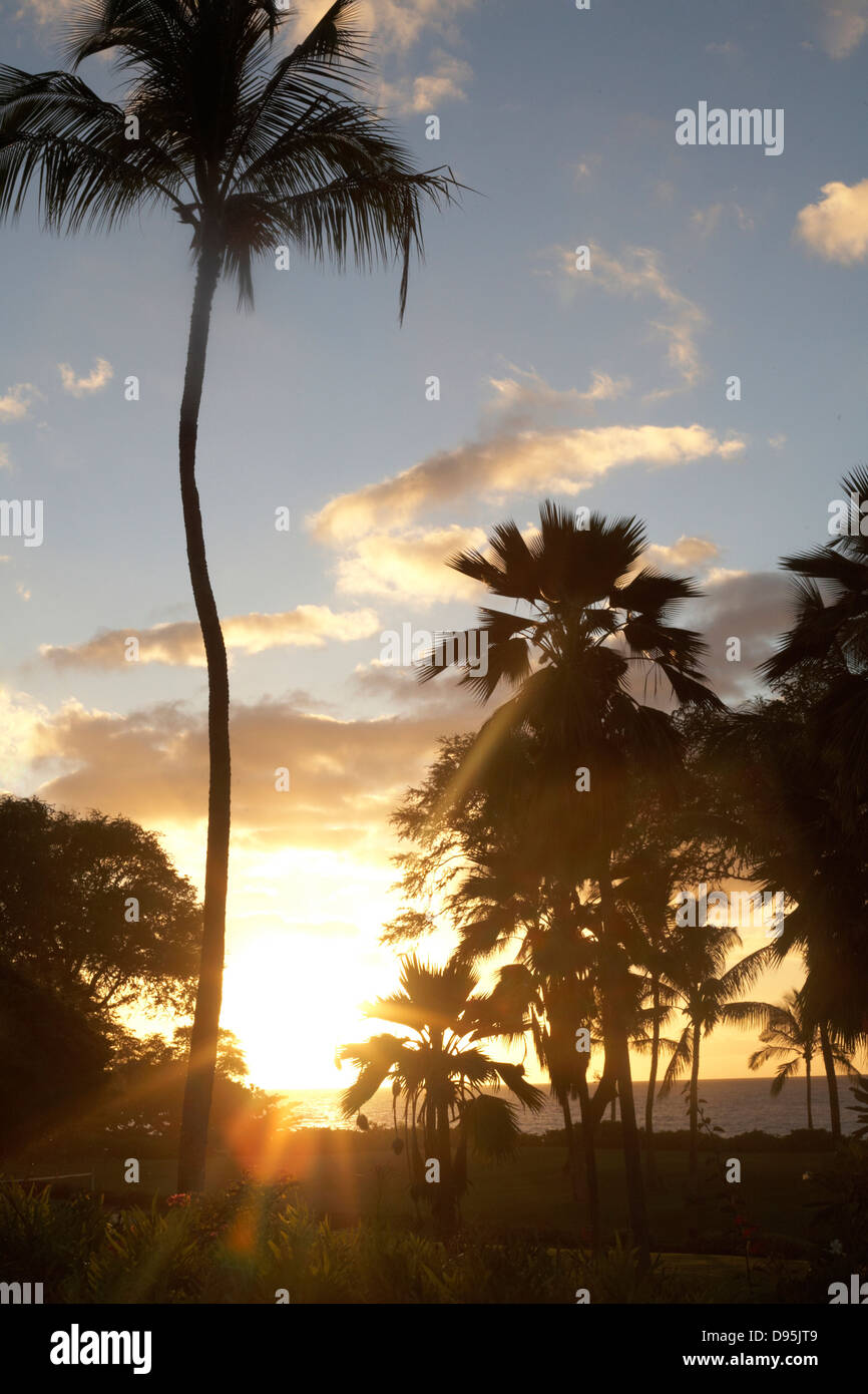 Sunset and Palm Trees in Wailea Maui Hawaii Stock Photo Alamy