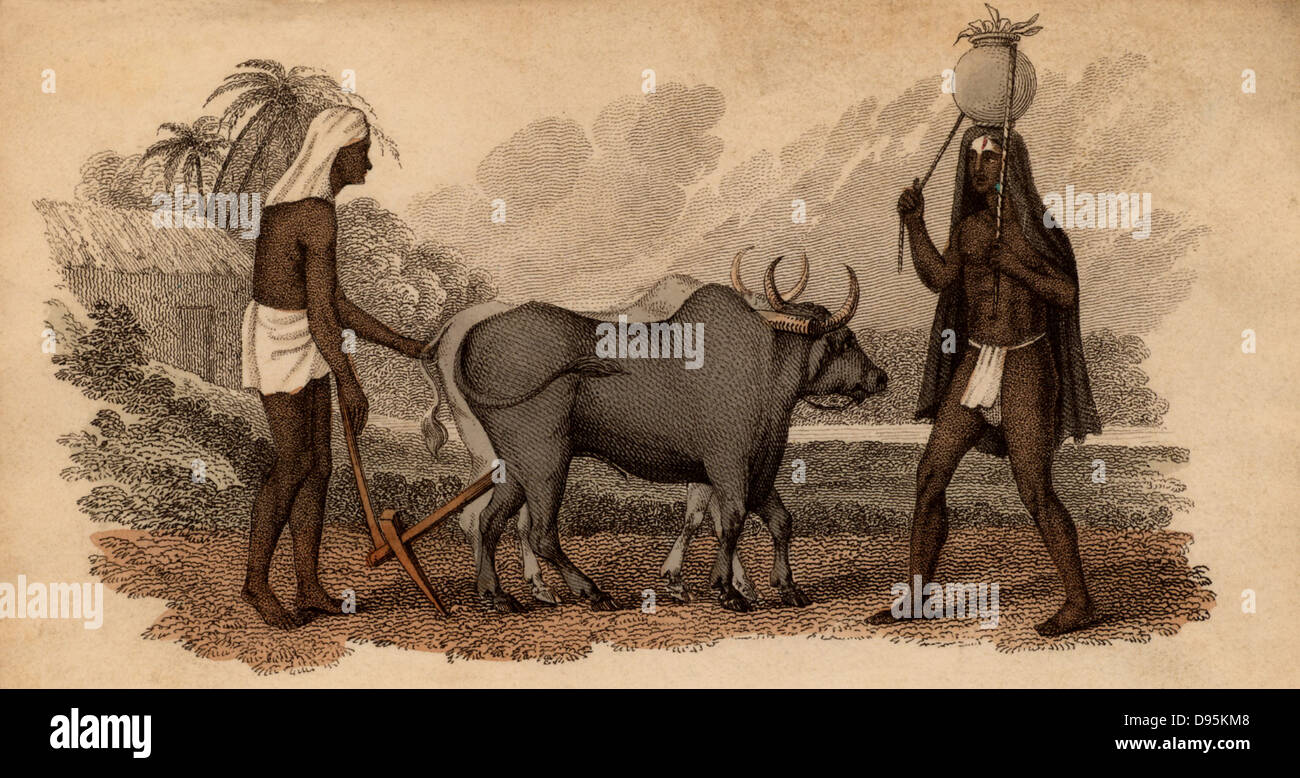 Hindu ploughman working team of oxen and Herdsman, right, carrying on his head a ceramic pot of what looks like fodder: India. Hand-coloured engraving published Rudolph Ackermann, London, 1822. Stock Photo