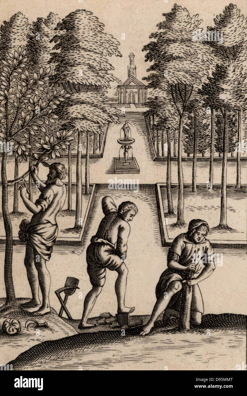 Gardeners at work. The man on the left is using a sharp knife, perhaps to remove a bud for grafting, while the man on the rights is grafting new wood on to the stump of a tree, a procedure often followed when it was necessary to rejuvenate an old tree.  Engraving from an 18th century edition of Virgil's 'Georgics'. Stock Photo