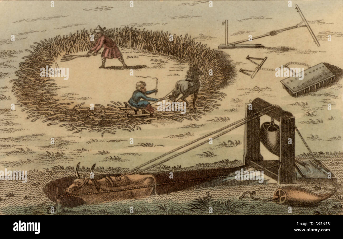 Threshing corn using a horse pulling a sledge. Using an ox to raise