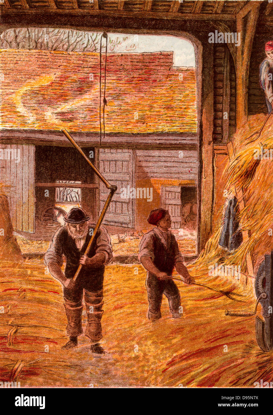 Farm labourers threshing corn with flails on the barn floor. The sheaves of corn had been brought in at Autumn harvest time and stacked in the barn. Kronheim chromolithograph from 'Pictures from Nature' by Mary Howitt (London, 1869). Stock Photo