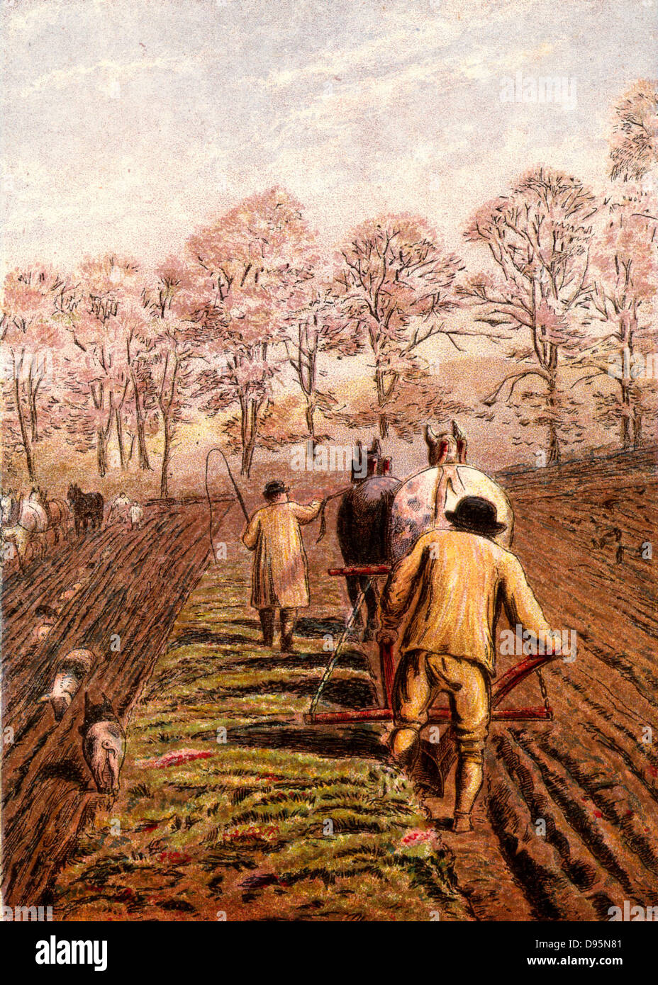 Winter ploughing with horses. The man leading the horse is wearing a smock, a traditional agricultural worker's garment.   Kronheim chromolithograph from 'Pictures from Nature' by Mary Howitt (London, 1869). Stock Photo
