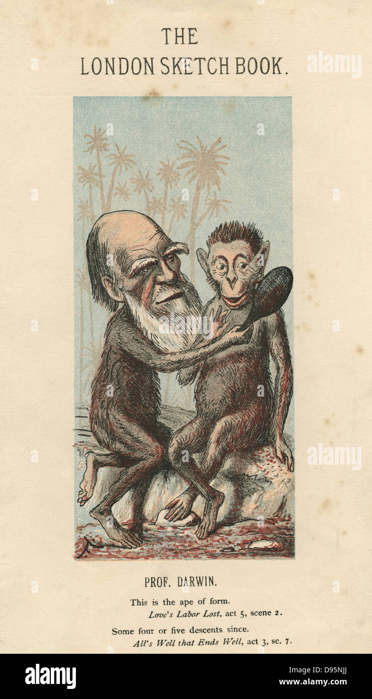 Charles Darwin (1809-82) English naturalist. Evolution by Natural Selection. Cartoon of 1874. Reaction to views put forward in 'The Descent of Man' Stock Photo