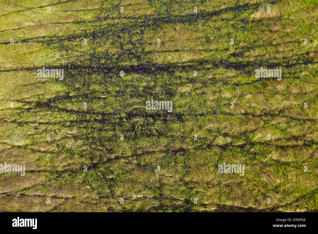 Tracks and aerial and animal hi-res stock photography and images - Alamy