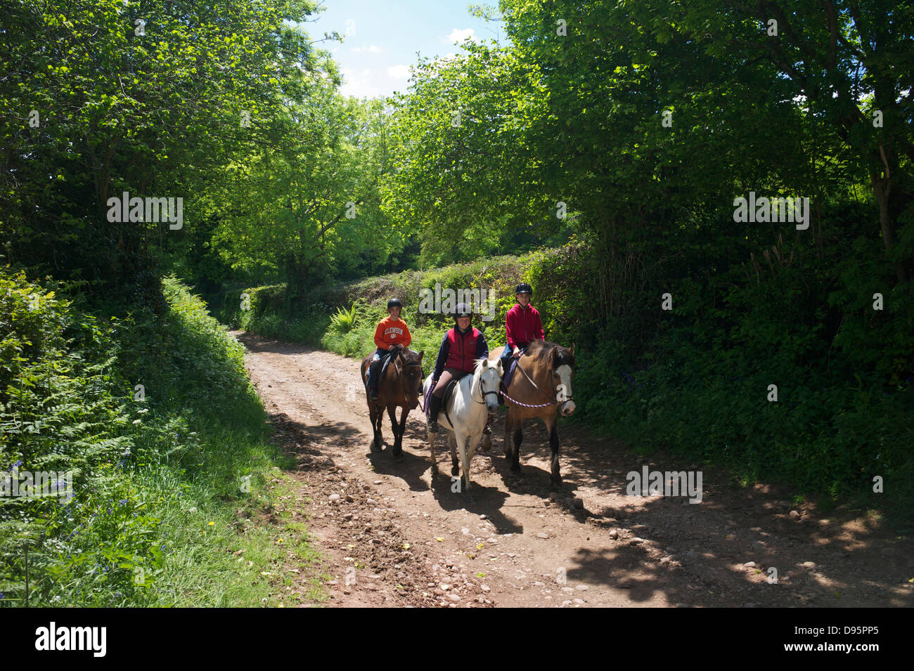 Horse riders country lane hi-res stock photography and images - Alamy