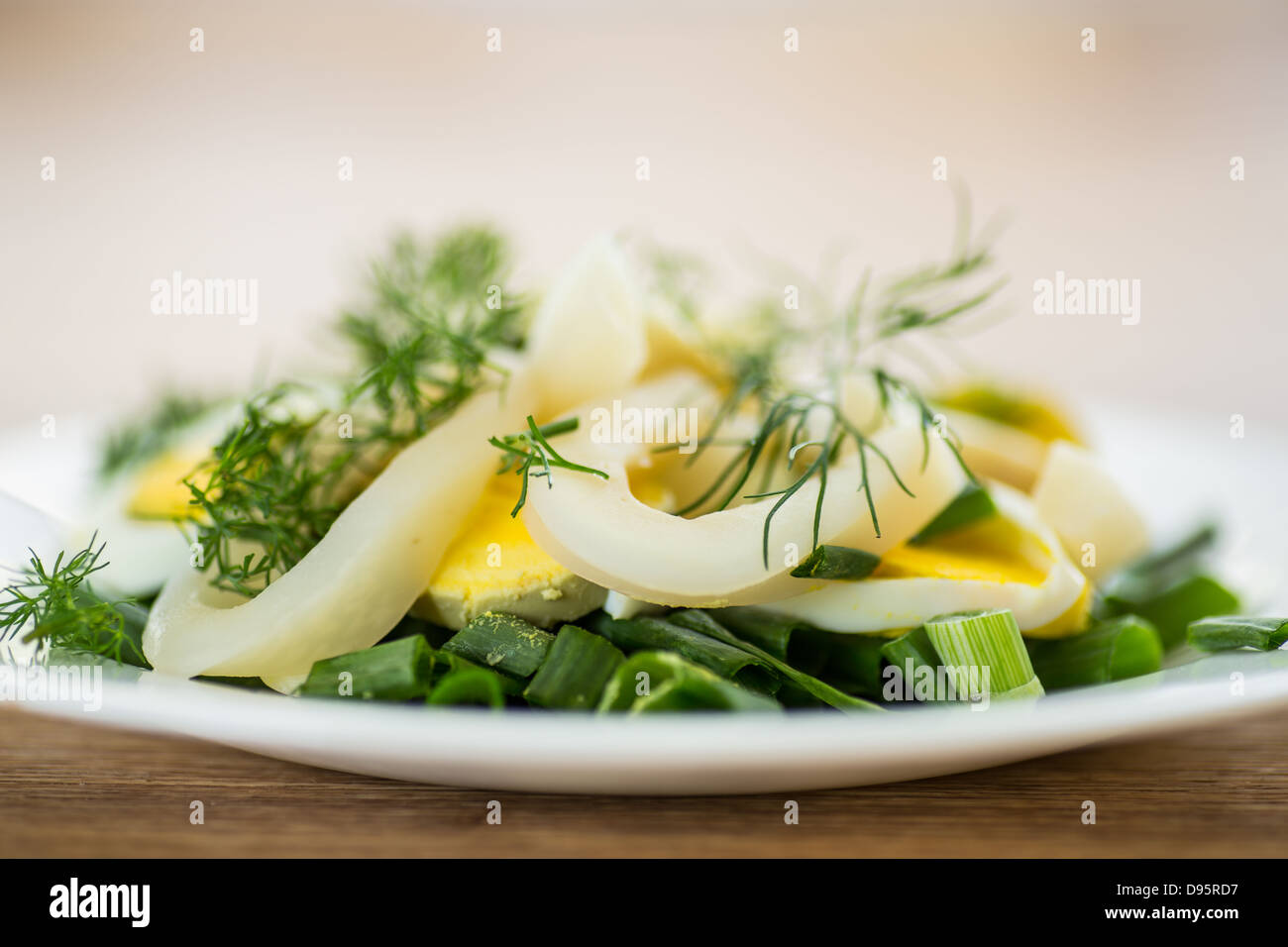 Salad with squid, eggs and fresh herbs Stock Photo