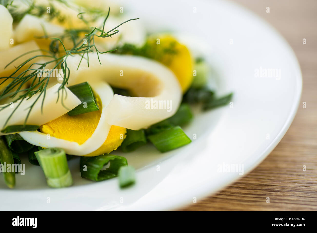 Salad with squid, eggs and fresh herbs Stock Photo