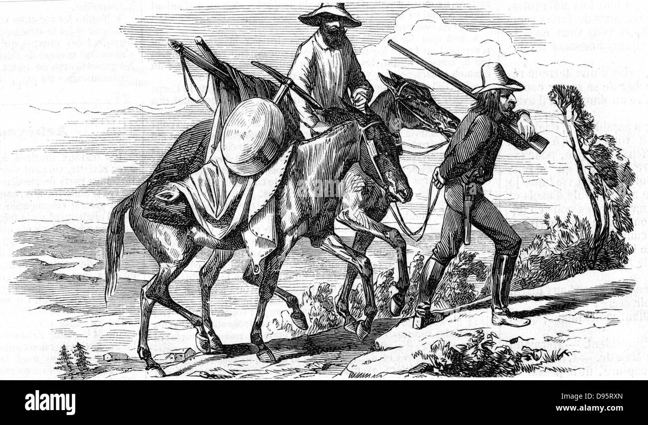 Hopefuls off to the Californian gold fields with their belongings and equipment loaded on their horses and carrying pistols and rifle.  From 'L'Illustration' Paris 18 June 1853. Wood engraving Stock Photo
