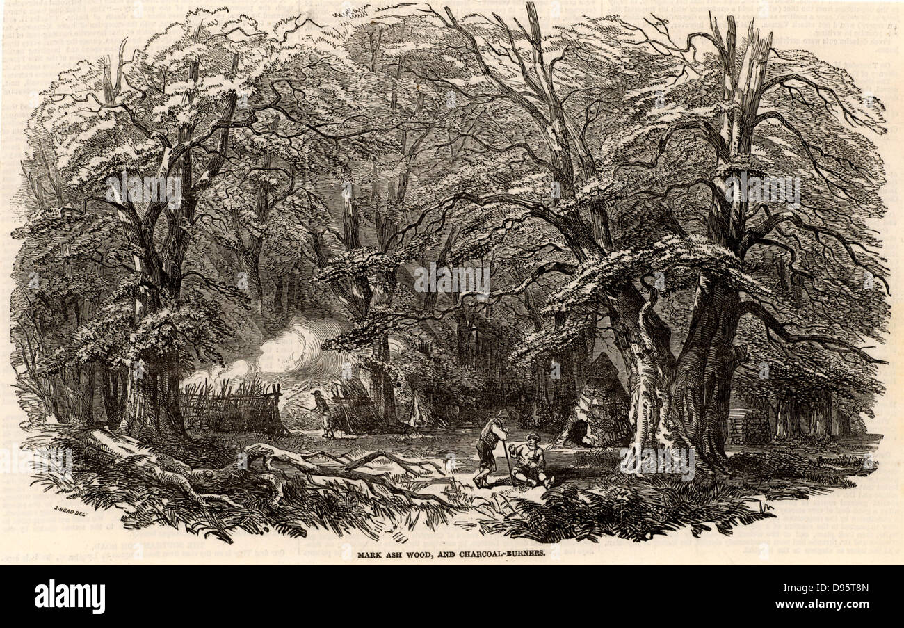 Charcoal burners in Mark Ash Wood in the New Forest, England. On the left one of the charcoal burners is controlling the burning of the clamp . At centre right is their cabin made of branches covered in turf and heather.  From 'The Illustrated London News' (London, 21 October 1848). Stock Photo