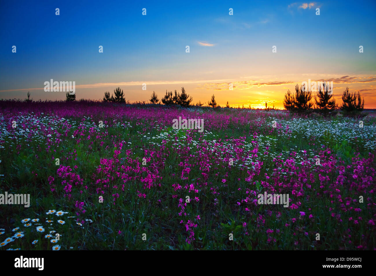 Sunrise over field red white hi-res stock photography and images - Alamy