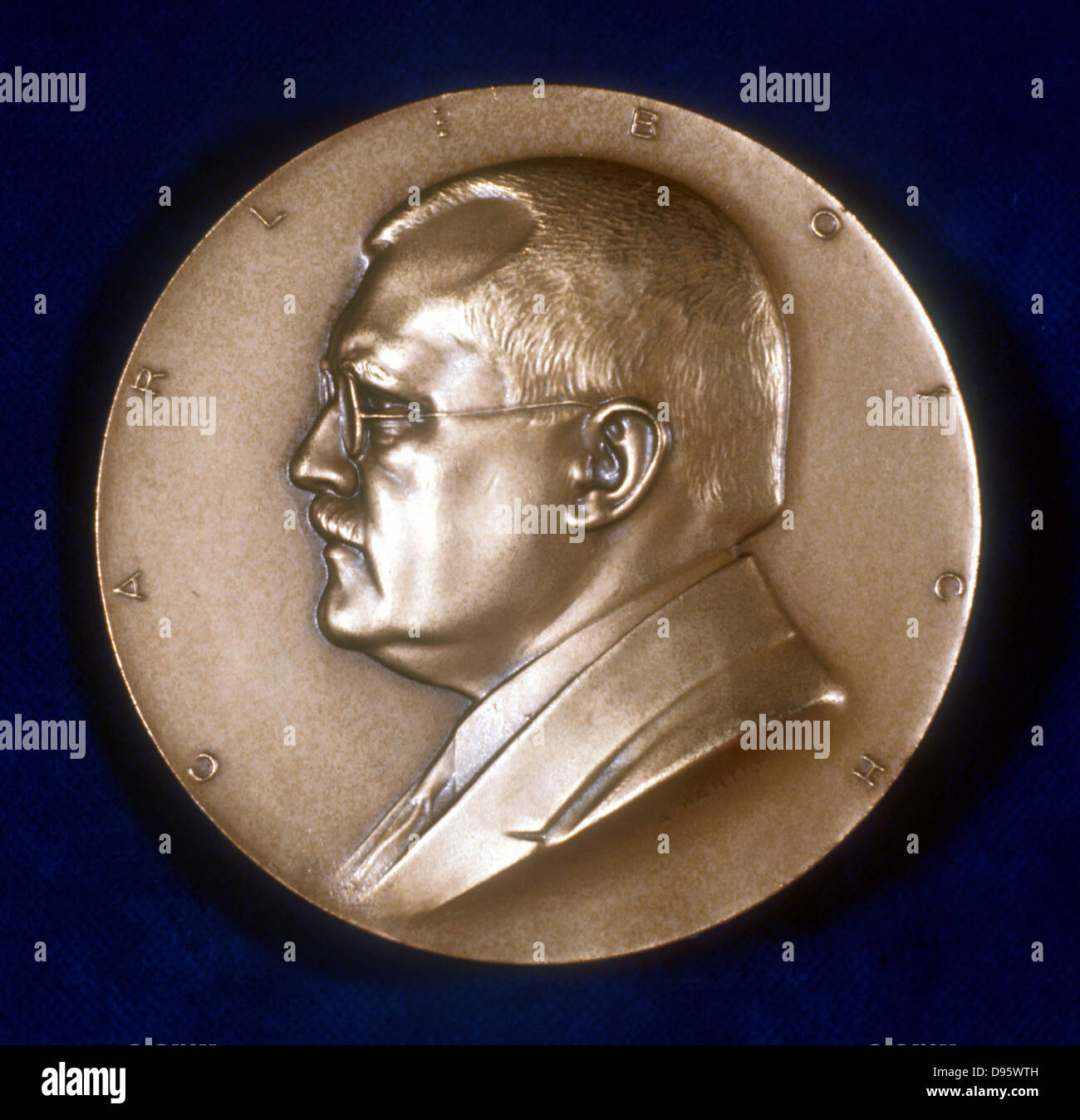 Karl (Carl) Bosch (1874-1940) German chemist. Haber-Bosch process for  sulphate of ammonia. Shared 1931 Nobel prize for chemistry with Friedrich  Bergius. Obverse of commemorative medal Stock Photo - Alamy