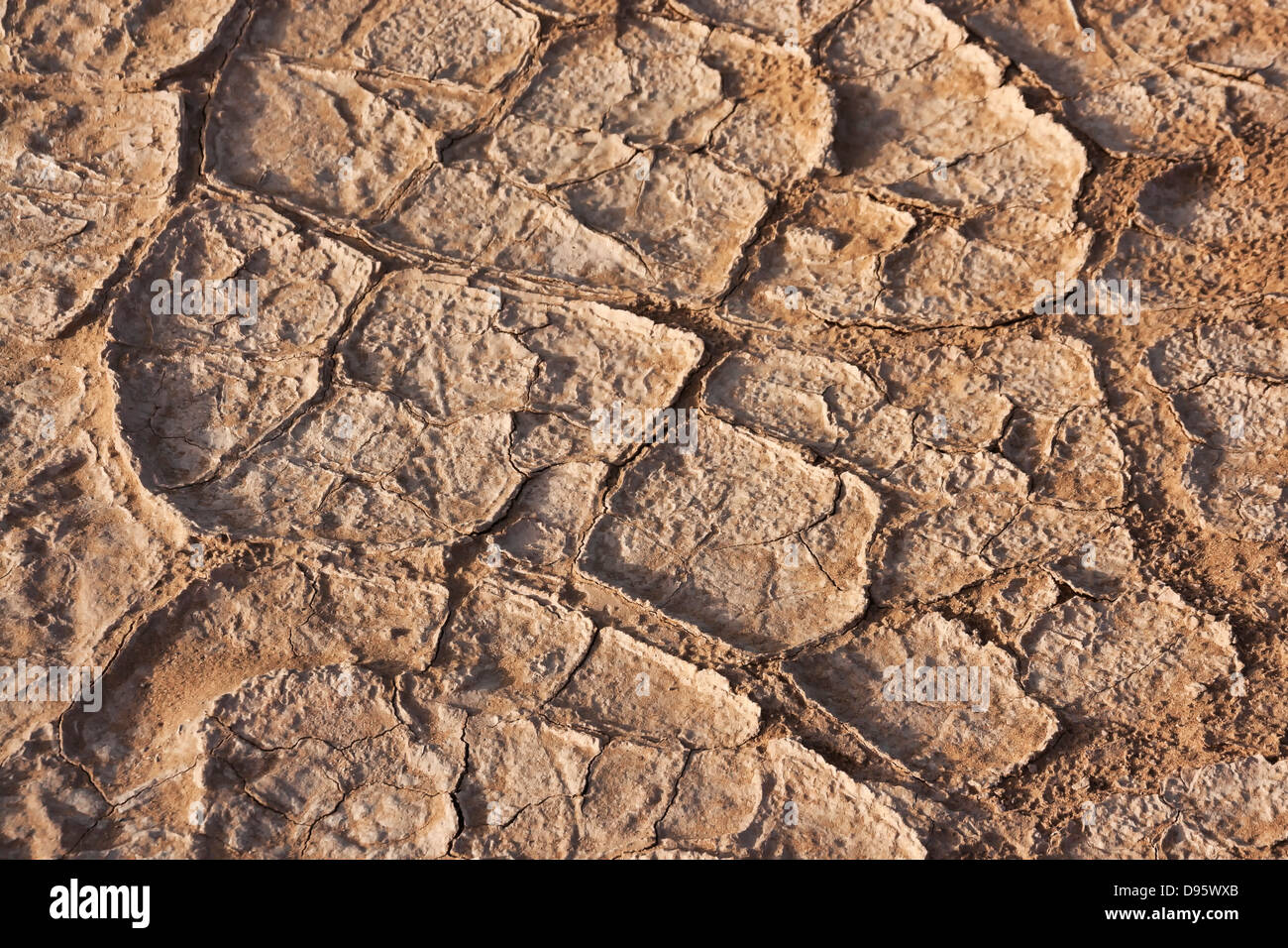 Dry soil in the Sahara desert. Stock Photo