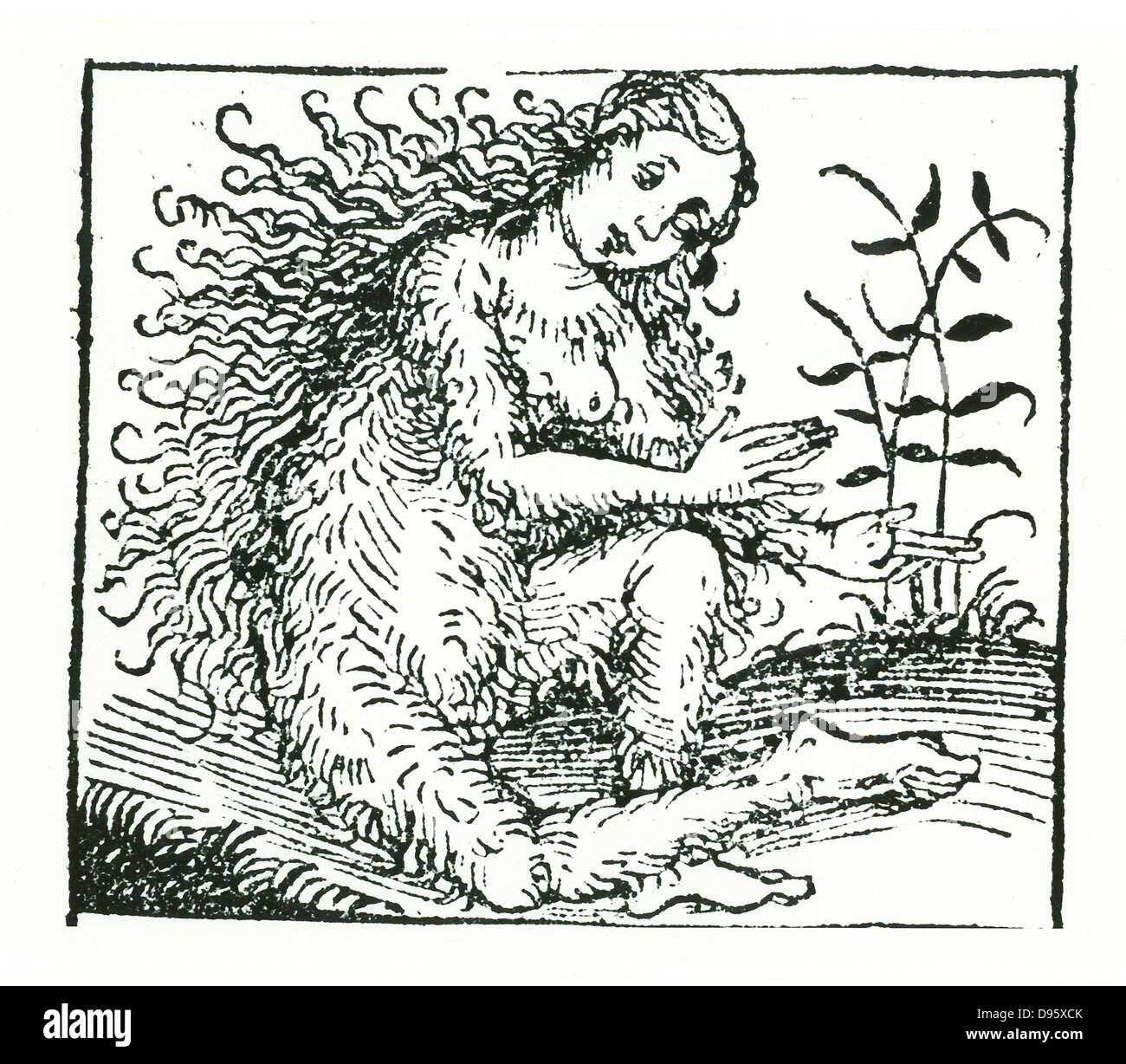 Hirsute woman hi-res stock photography and images - Alamy