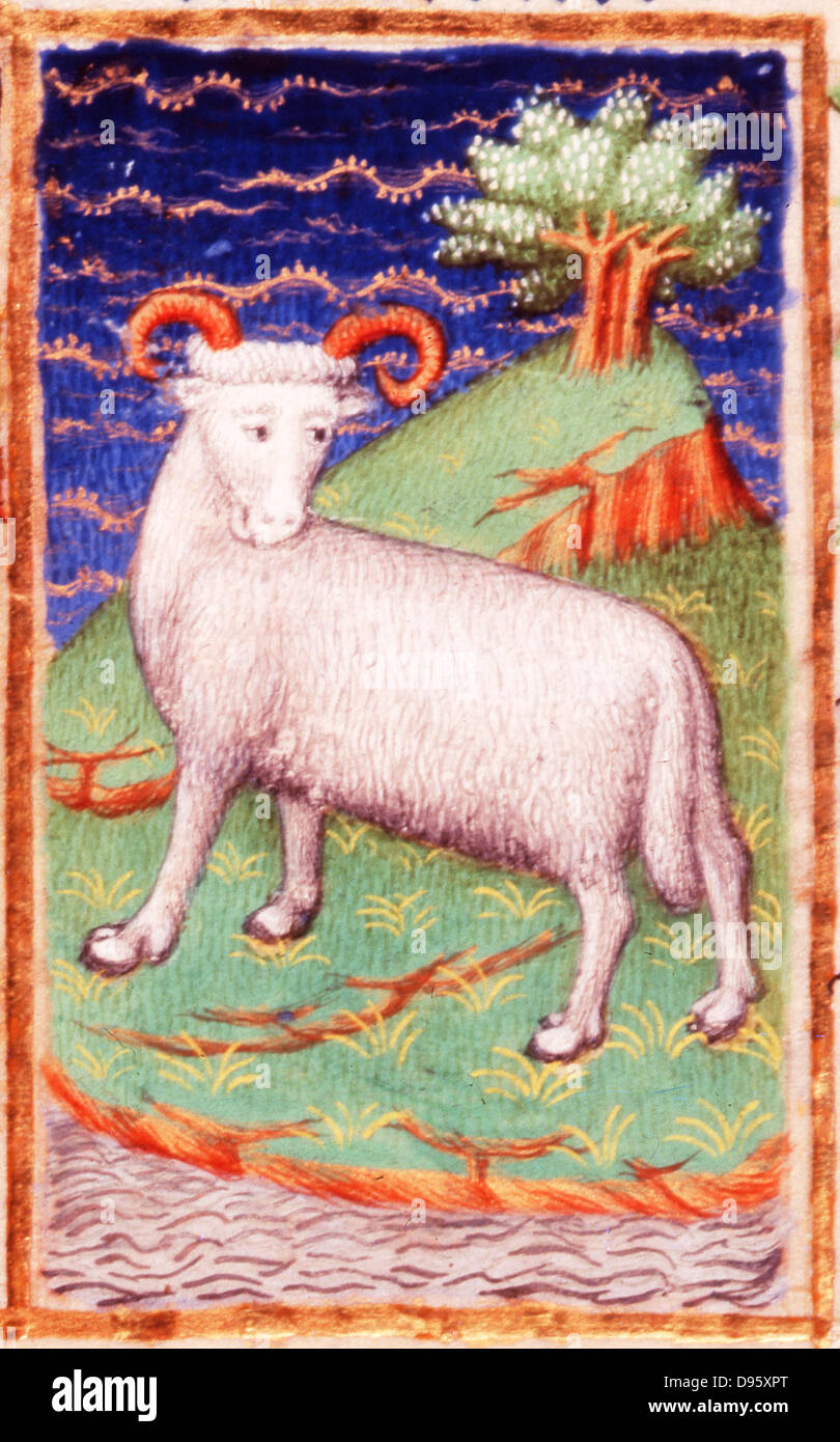 March. Astrological sign of Aries, the Ram.  From the 'Bedford Hours', French 15th century illuminated manuscript.  The wealth of England depended greatly upon the wool from its flocks of sheep and on the cloth woven from their fleeces. Stock Photo