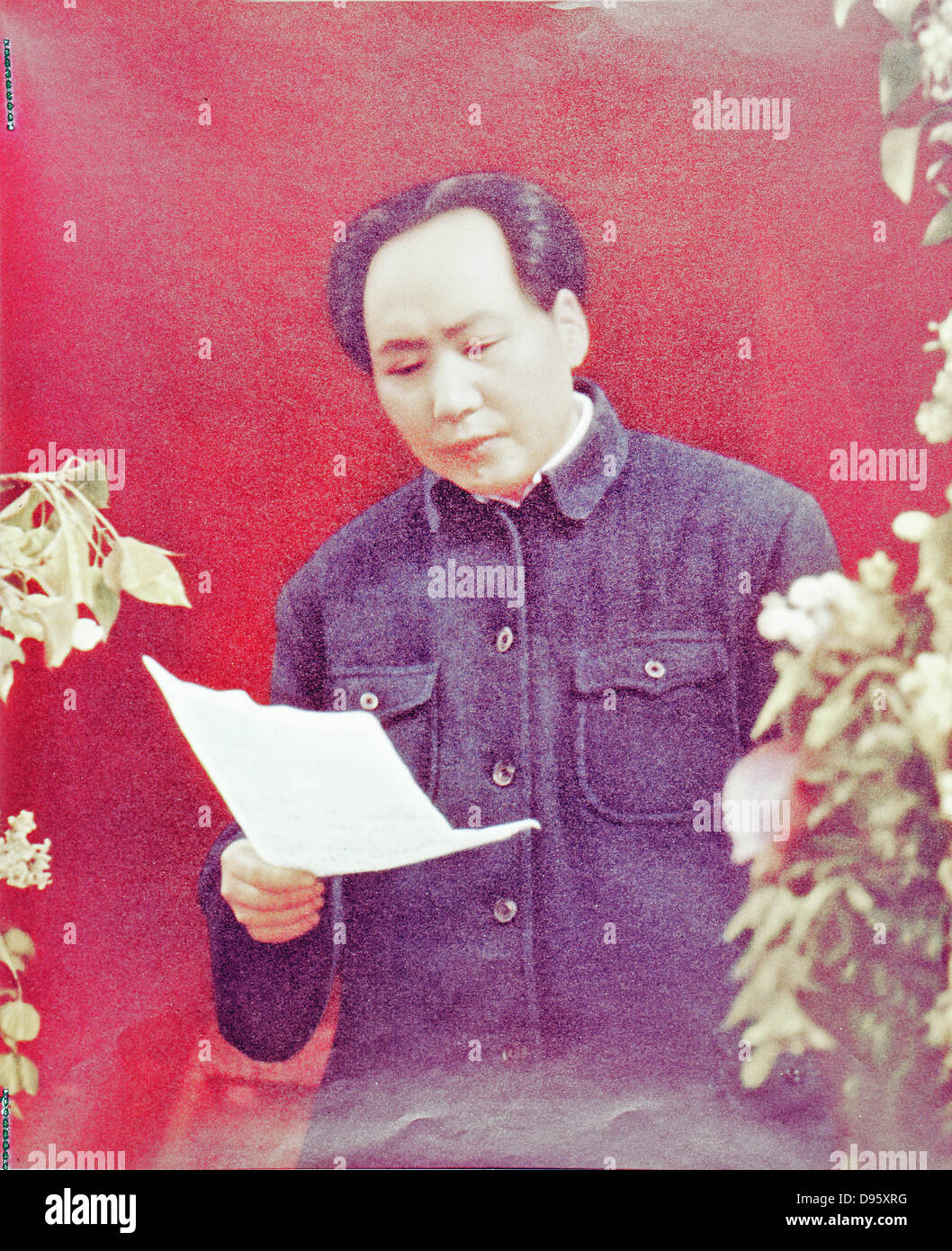 Mao Tse-Tung (Mao Zedong) 1893-1976, Chinese Communist leader.  Mao reading report  to 7th Congress of the Chinese Communist Party, 1945. Stock Photo