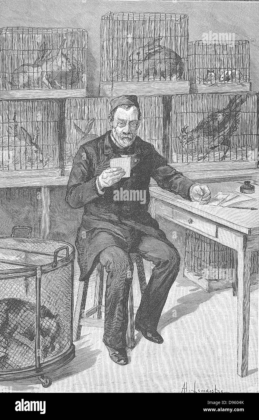 Louis Pasteur (1822-1895) French chemist, in his laboratory at the Ecole Normale, Paris, during his work on hydrophobia.  Around him are cages full of the animals he used during his experiments.  From 'Le Journal de la Jeunesse' Paris, 1893. Stock Photo