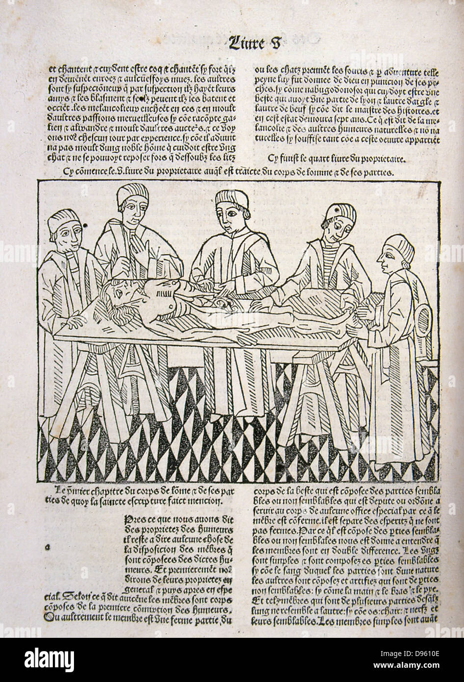 A dissection in progress. From 'Le livre de la propriete des choses' (On the Properites of Things) written by the English Franciscan monk Bartholomew Glanville, called Bartolomaeus Anglicus,  c1230-1240 and translated by Jean Corbechon in 1372. Woodcut fr Stock Photo
