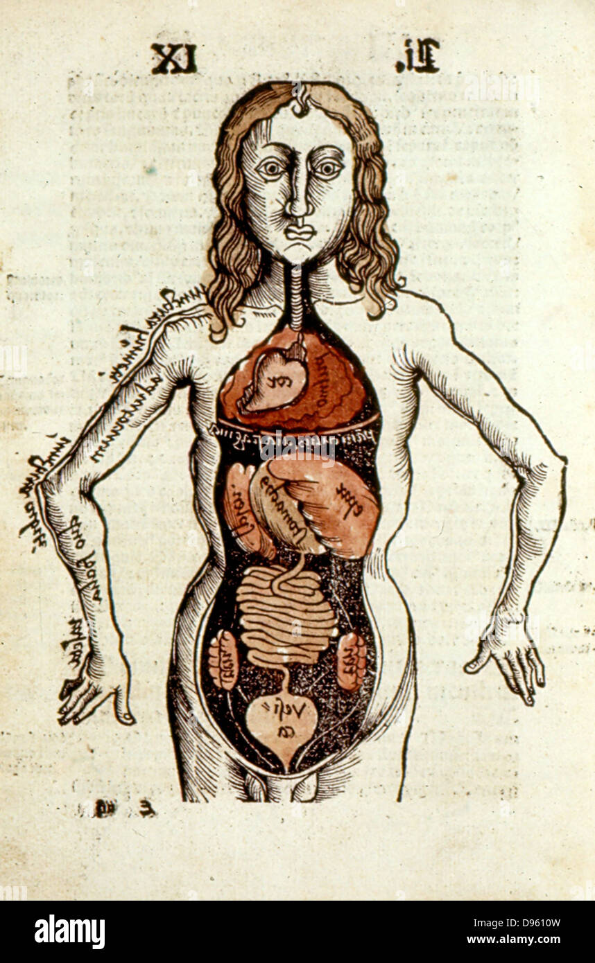 Internal organs of the human body.  From Gregor Reisch 'Margarita Philosophica', Basle, 1508. Stock Photo