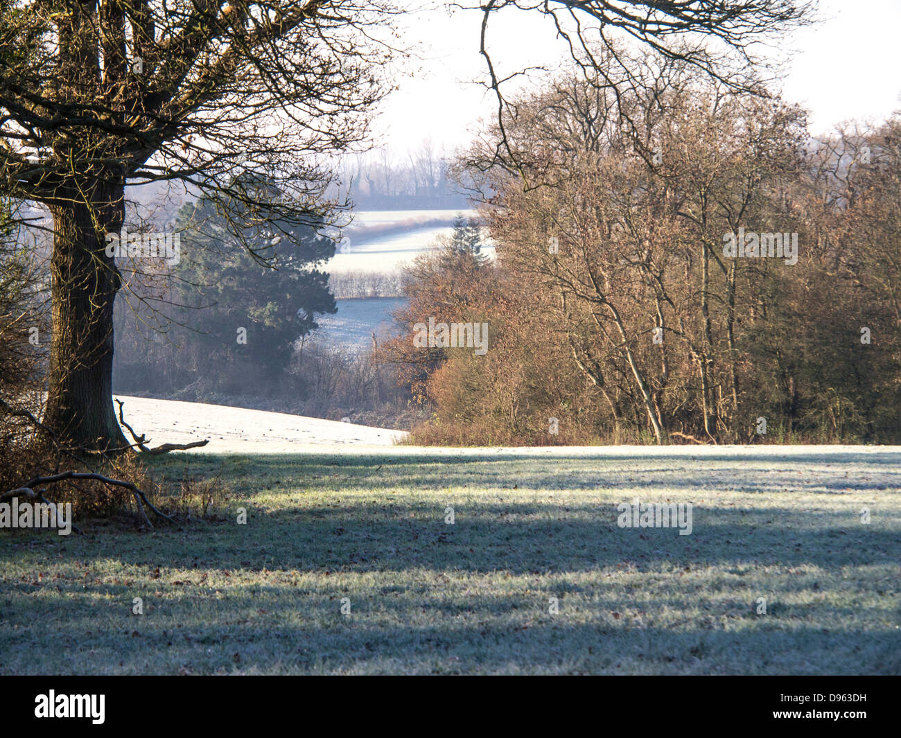 Pasture fields with frost in November cold, in Kent, England. Stock Photo