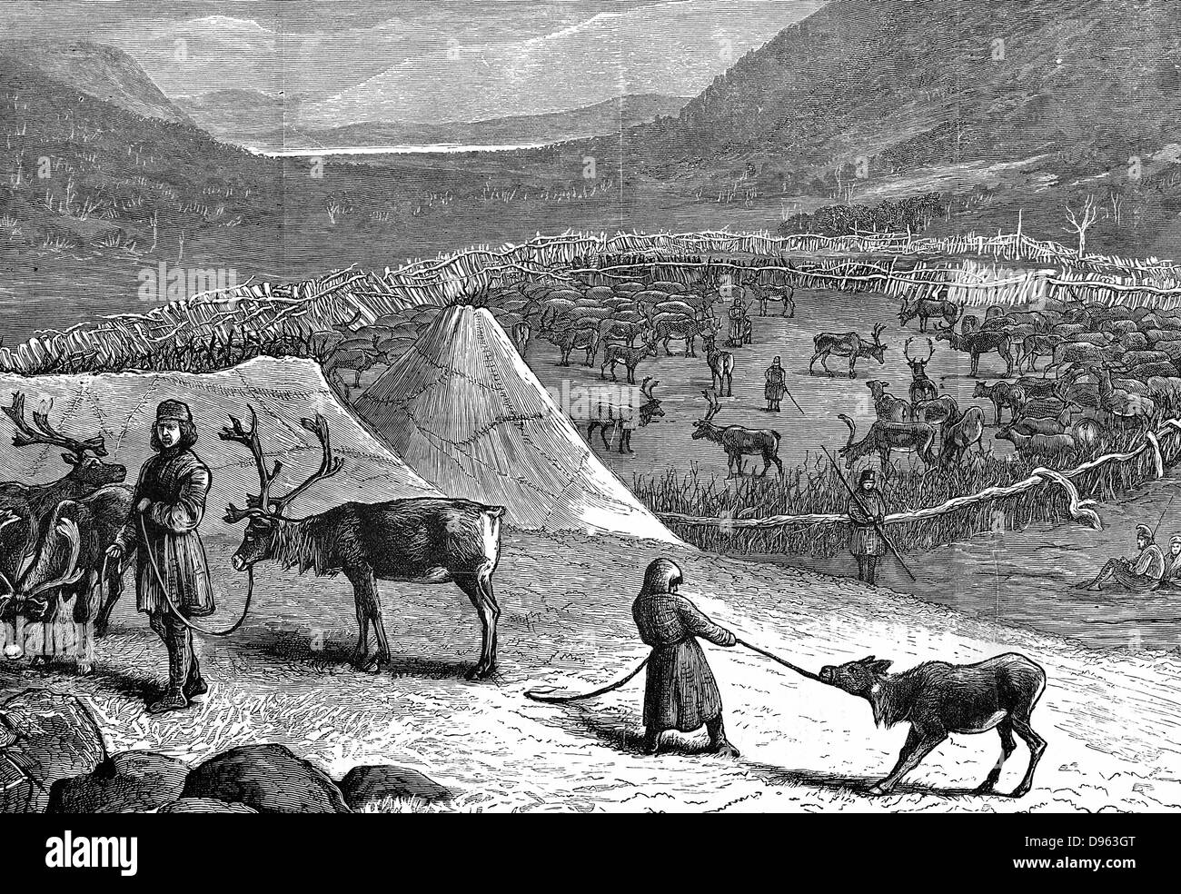 Lapps encampment with reindeer corral. Nomadic herdsmen of Arctic regions whose reindeer provided food, clothing, tools and transport,  Wood engraving, 1882. Stock Photo