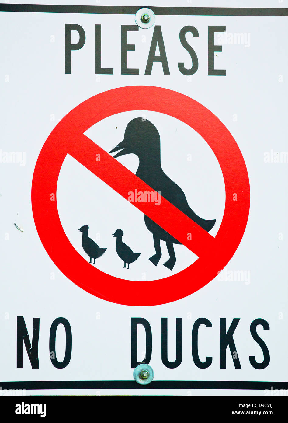 Close up of a sign that reads ' Please, no ducks', USA Stock Photo