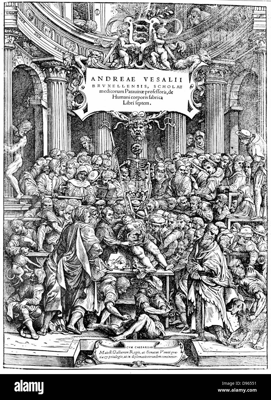Title page of Andreas Vesalius 'De Humani Corporis Fabrica', Basel, 1543, showing Vesalius dissecting a body. Stock Photo