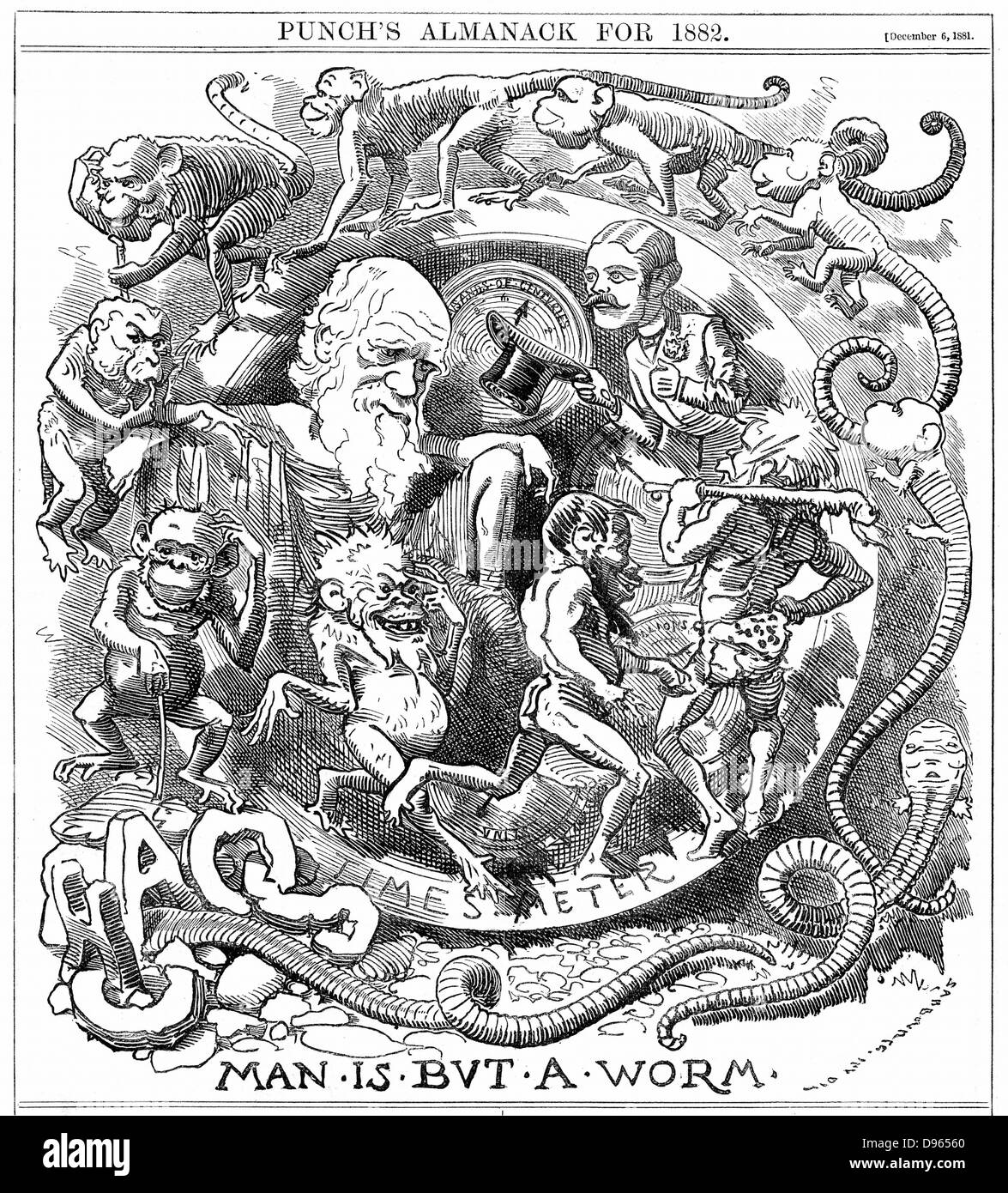 Man is but a worm. Cartoon from 'Punch', London, 6 December 1881, the year in which Darwin published 'The Formation of Vegetable Mould through the action of Worms', showing evolution from worm to man, watched by Charles Darwin (1802-1882). Wood engraving. Stock Photo