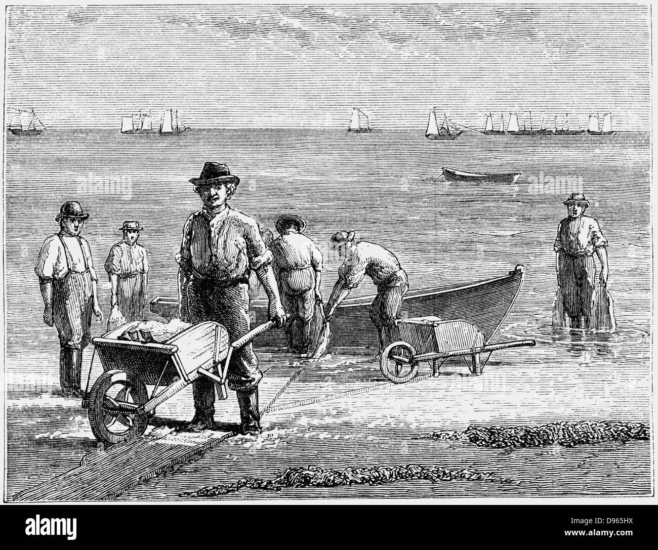 Cape cod fisherman washing fish wood engraving from harpers monthly hi