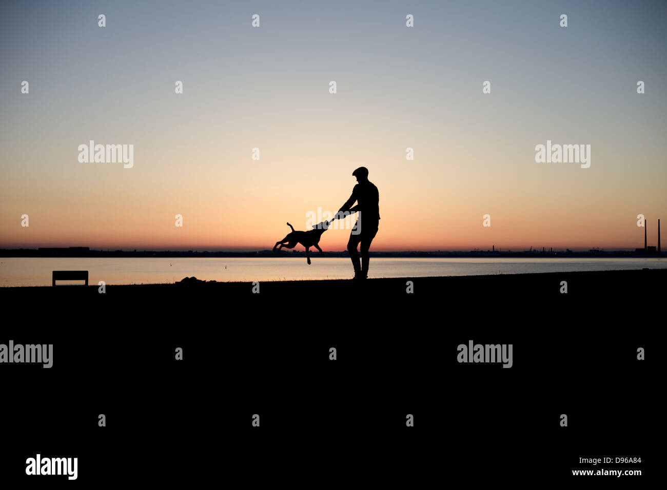 A man playing with dog with the sun setting over a bay in the background. Stock Photo