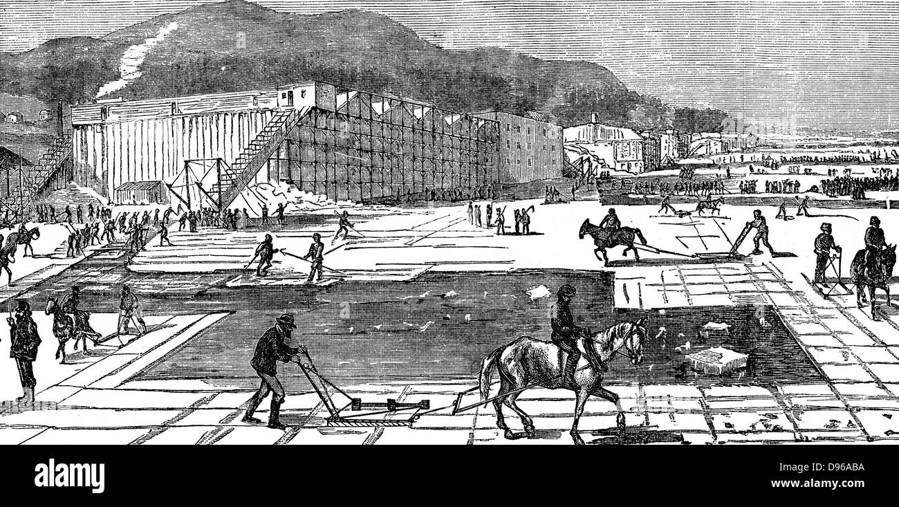 Ice gathering on the Hudson River near New York. Horse-drawn cutters used to cut blocks. In background are insulated warehouses for storing ice for summer use. From 'The Science Record' New York 1875. Engraving Stock Photo