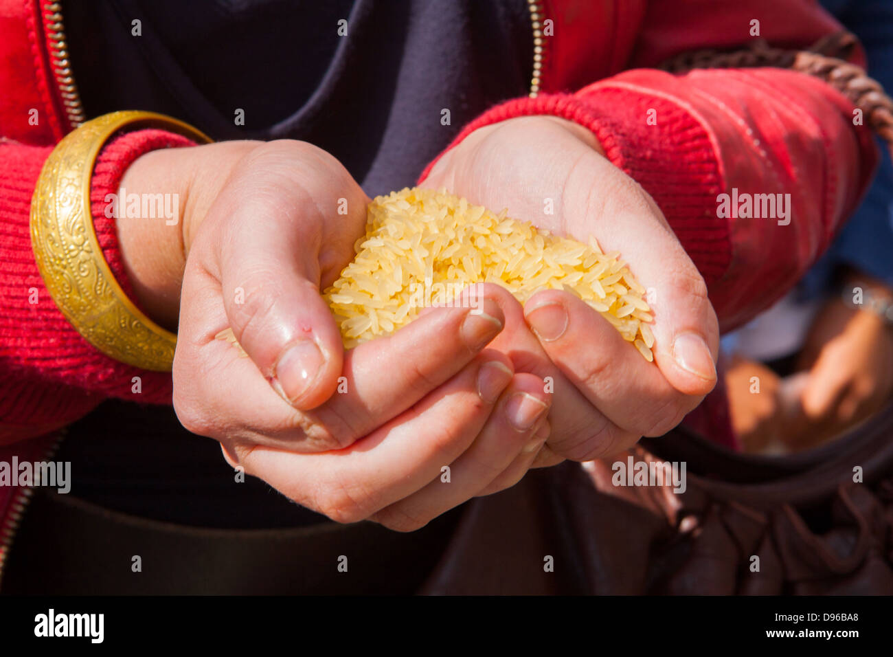 hands holding a portion of rice, to throw at the bride and groom at the