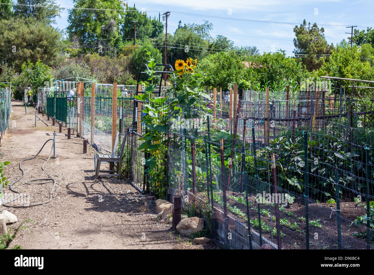 Community Gardens At Orcutt Ranch In Los Angeles In The San