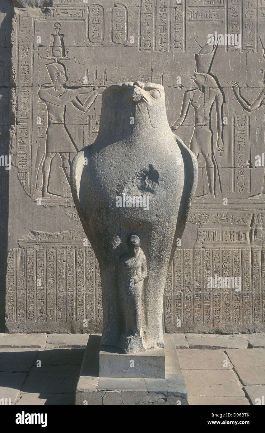 Giant statue of the ancient egyptian falcon headed god horus hires