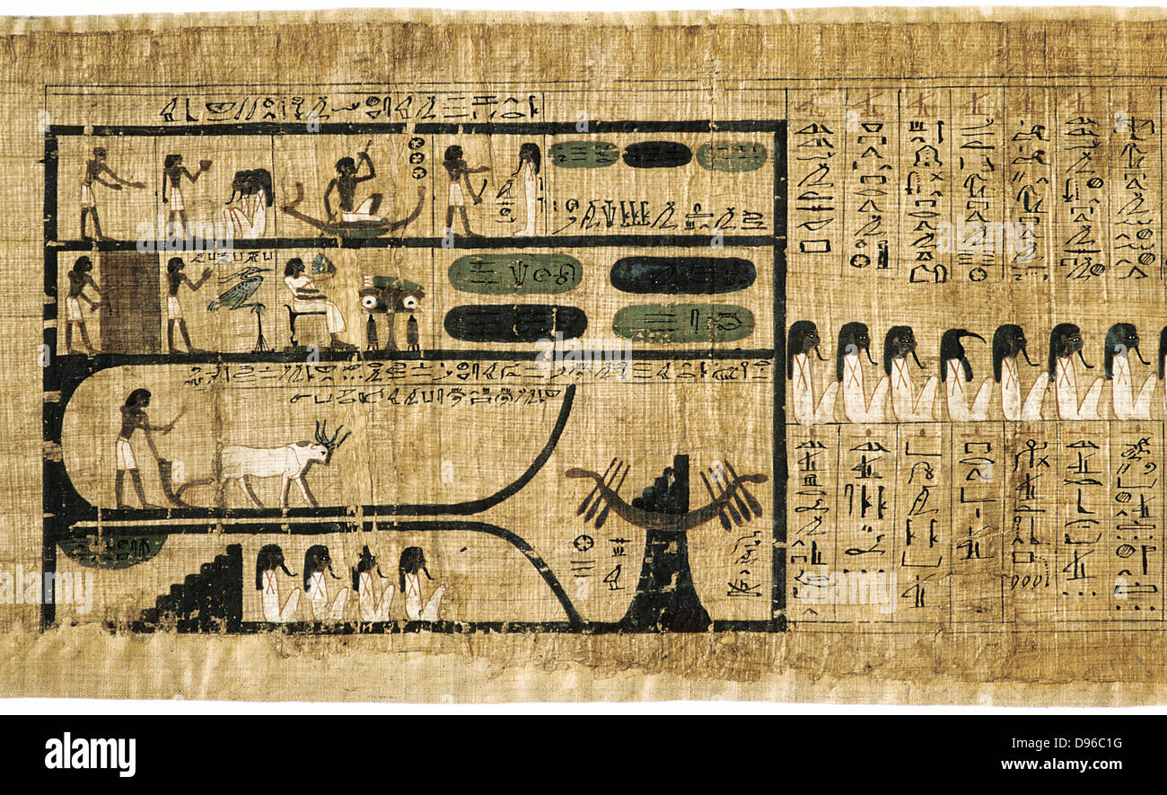 Book of the Dead on papyrus showing written hieroglyphs. Depiction of ploughing with oxen Bodmer Library, Geneva Stock Photo