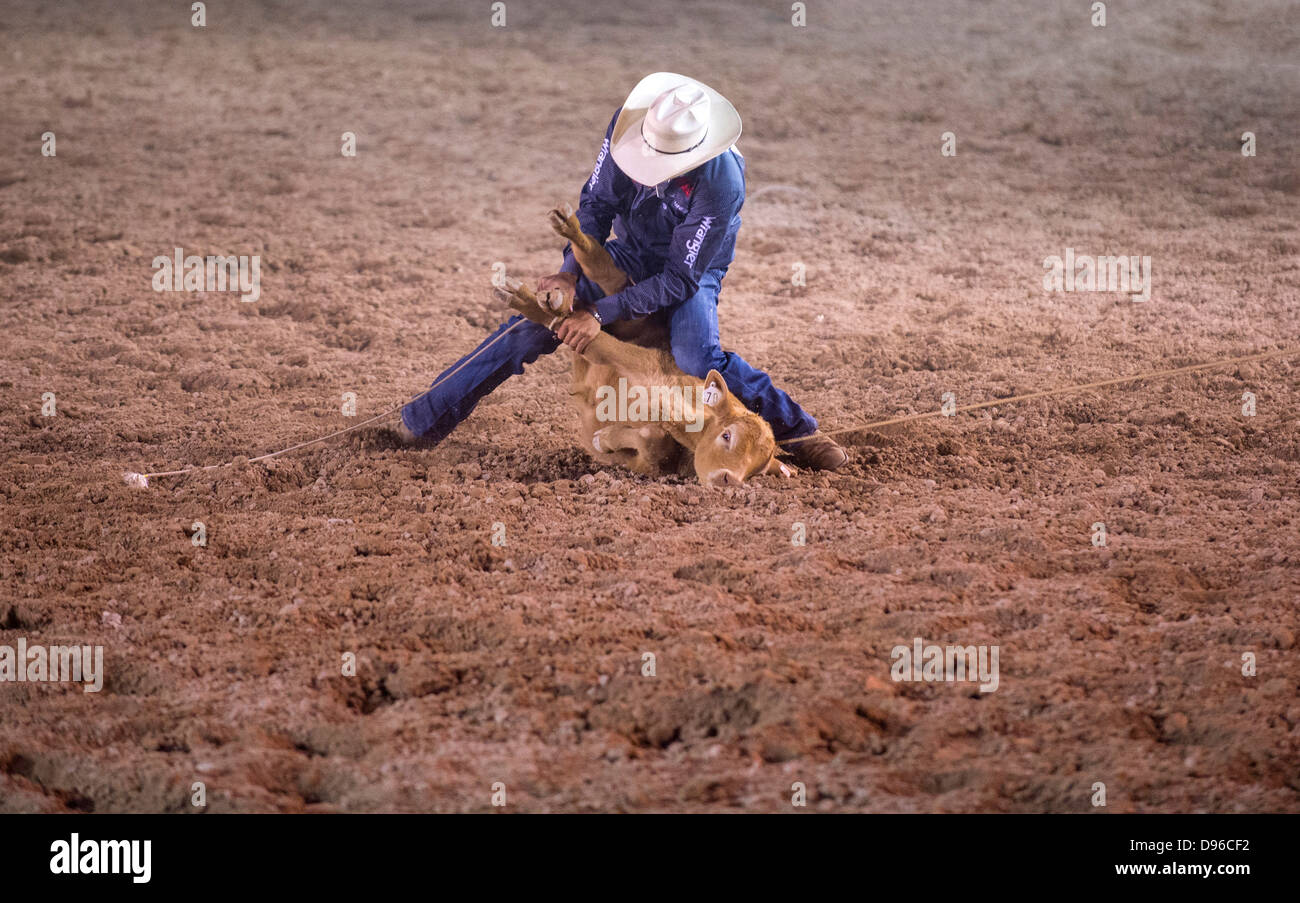 Cowboy Participant in a Calf roping Competition at the Helldorado Days Professional Rodeo in Las Vegas Stock Photo