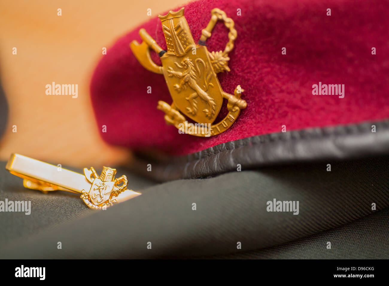 Detail shots of Belgian military army uniform Stock Photo - Alamy