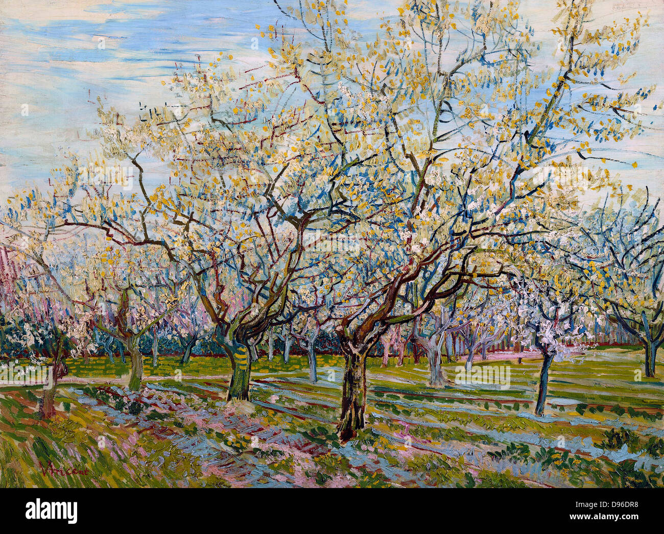 Painting of The White Orchard, 1888. By Vincent van Gogh. Oil on Canvas.  Part of an intended triptych of orchard paintings by Van Gogh Stock Photo -  Alamy