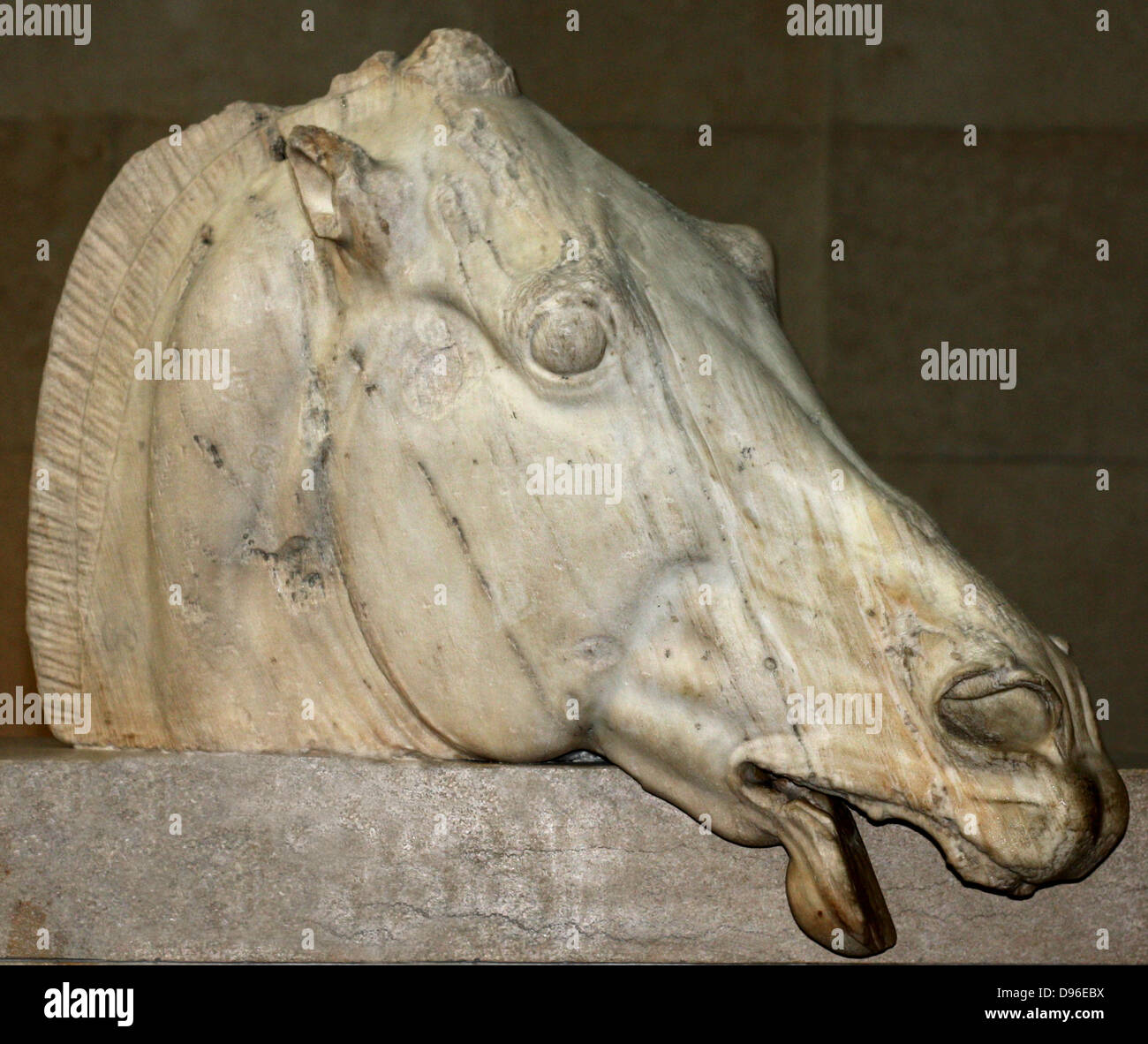 Statue of a horses head from the chariot of the moon-goddess Selene. Acropolis, Athens, 438-432 BC. From the east pediment of the Parthenon. It shows the horse as weary from it's night-long labour. Stock Photo