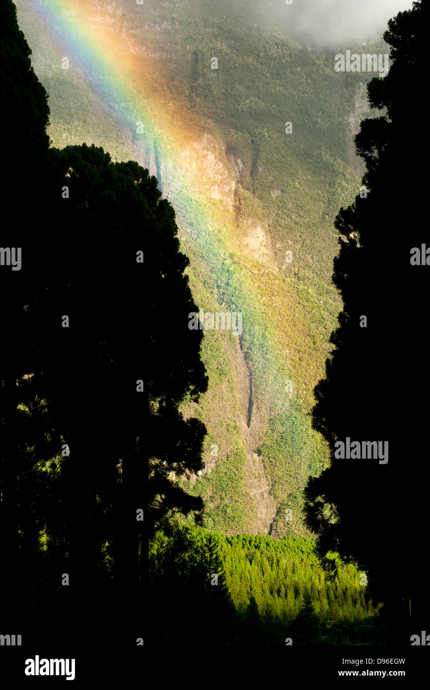 Rainbow at the forest at Bras Sec in the Cirque de Cilaos caldera on the French island of Reunion in the Indian Ocean. Stock Photo