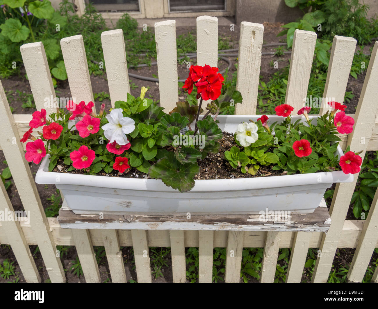 flower box on white fence Stock Photo Alamy