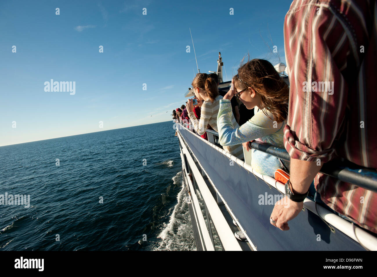 Whale watching in the Pacific near San Diego, California, United States of America Stock Photo