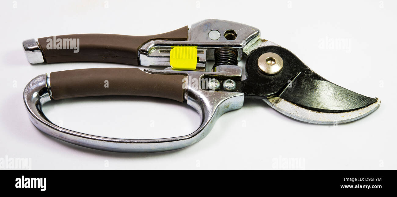 A pair of new secateurs for pruning Stock Photo
